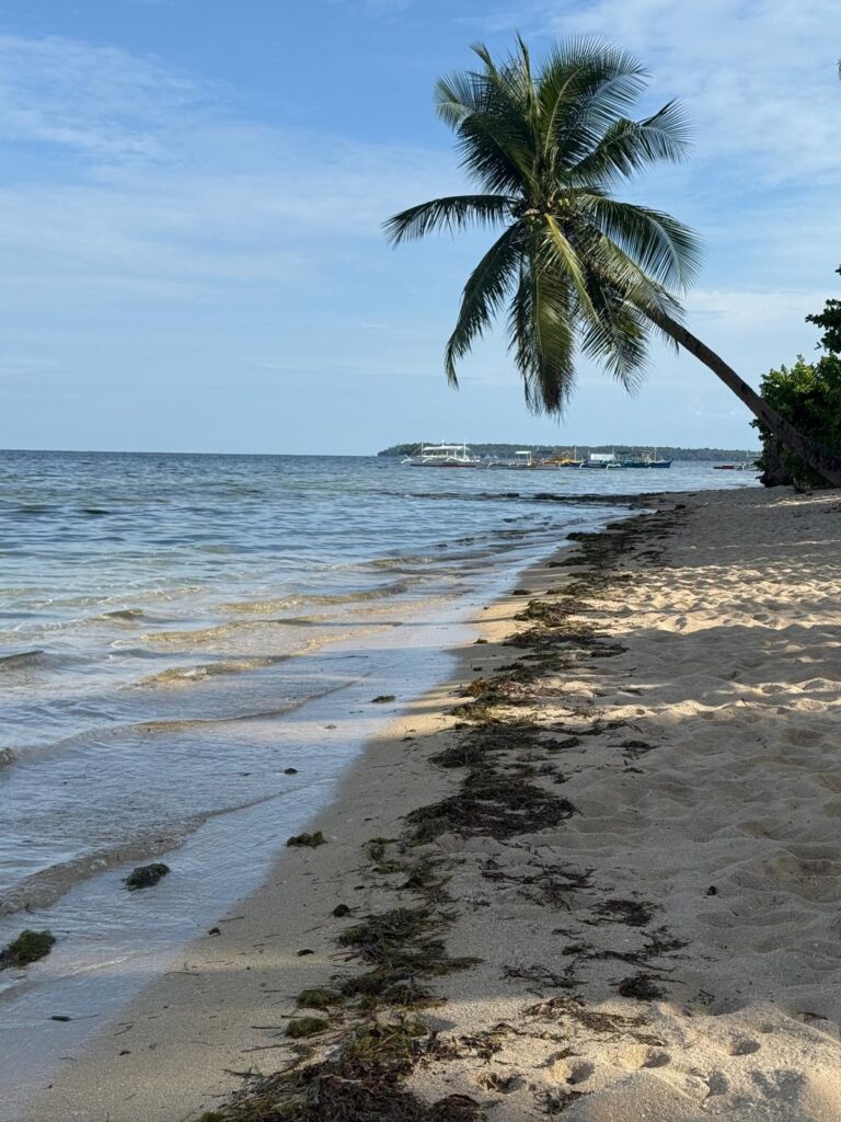 whatsapp bild 2025 09 21 um 13.38.50 f1cfcf2f