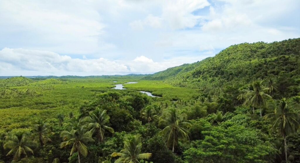 whatsapp bild 2025 09 21 um 13.38.51 78bdfc7e